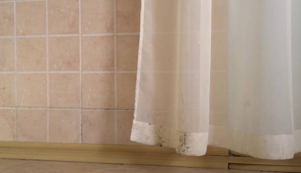 Best Indoor Air Quality Assessment  in Lake Mary Jane, FL