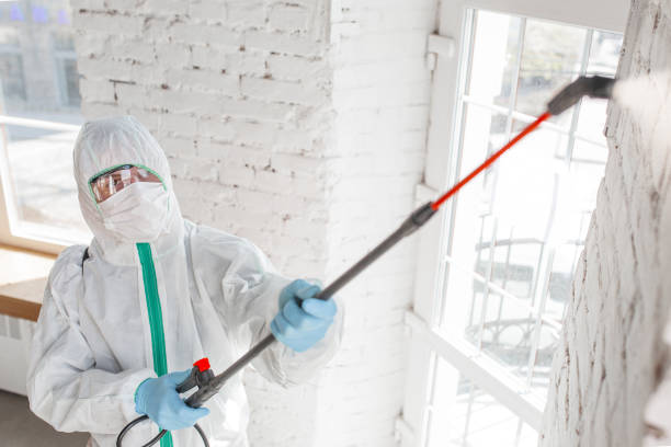 Best Mold Prevention Services  in Lake Mary Jane, FL