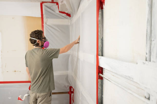 Best Mold Damage Restoration  in Lake Mary Jane, FL