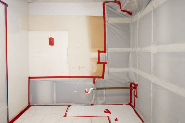 Best Mold Documentation for Insurance Claims  in Lake Mary Jane, FL