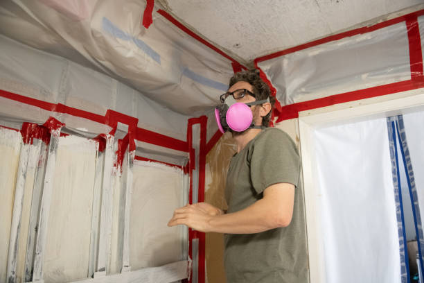 Best Mold-Related Health Consultation  in Lake Mary Jane, FL