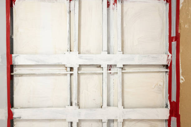 Best Environmental Consulting for Mold Prevention  in Lake Mary Jane, FL