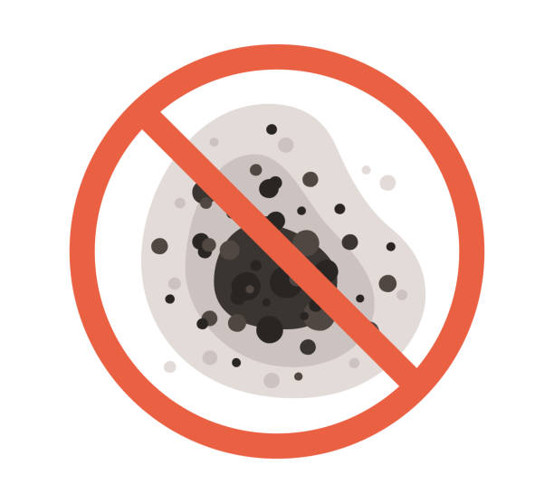 Best Comprehensive Air Testing for Mold Contaminants  in Lake Mary Jane, FL