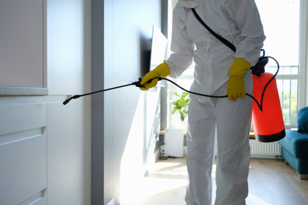 Best Air Quality Testing for Mold Spores  in Lake Mary Jane, FL
