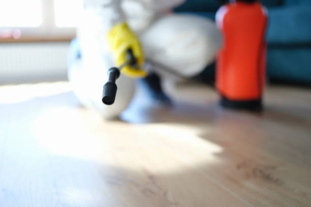 Best Mold Removal for HVAC Installations  in Lake Mary Jane, FL