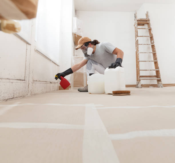 Best Real Estate Mold Inspection  in Lake Mary Jane, FL